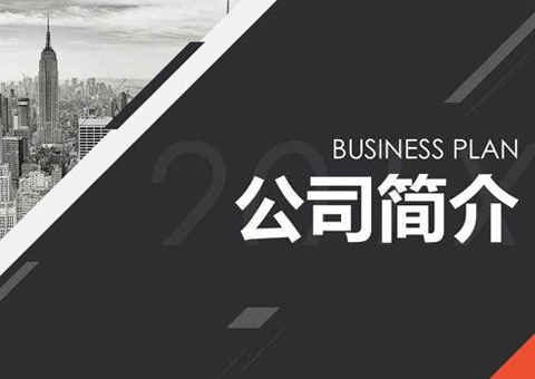 上海紫龍新能源有限公司公司簡介